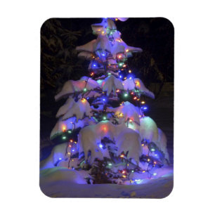 Snow Covered Brightly Lit Christmas Tree Magnet