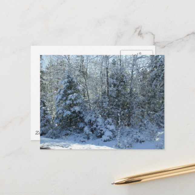 Snow Covered Christmas Tree Holiday Postcard (Front/Back In Situ)