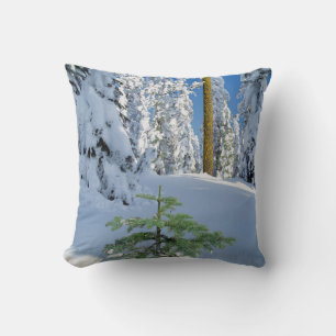 Snow Covered Forest in Oregon Cushion