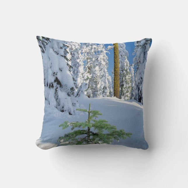 Snow Covered Forest in Oregon Cushion (Front)