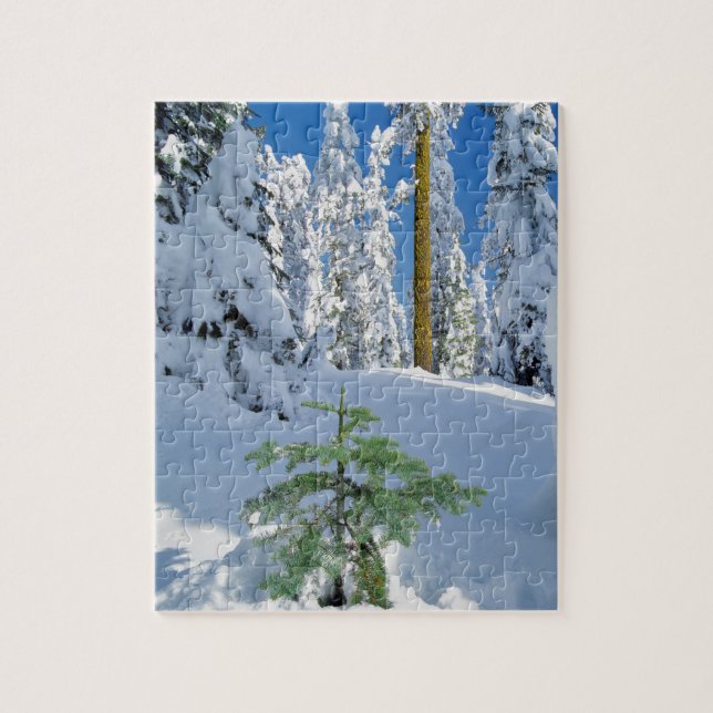 Snow Covered Forest in Oregon Jigsaw Puzzle (Vertical)