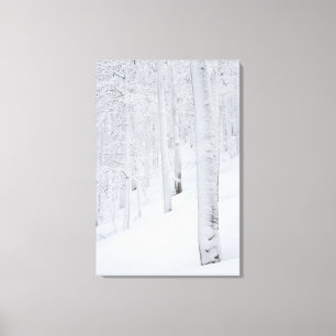 Snow covered forest winter wonderland canvas print