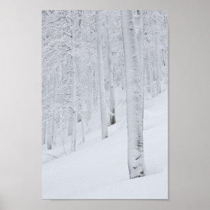 Snow covered forest winter wonderland poster