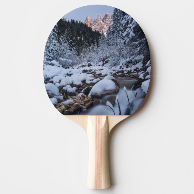 Snow-covered Geisler Mountain Range Ping Pong Paddle (Front)