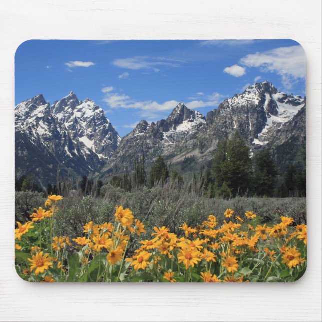 Snow Covered Grand Teton Range with Yellow Flowers Mouse Mat (Front)
