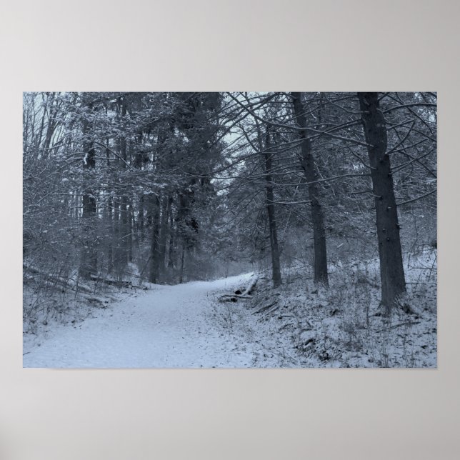 Snow Covered Hiking Trail 1 Poster (Front)