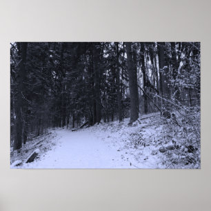 Snow Covered Hiking Trail 2 Poster