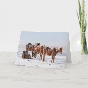 Snow Covered Icelandic Horses Card