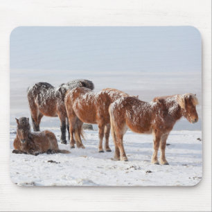 Snow Covered Icelandic Horses Mouse Mat