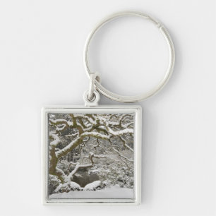 Snow-covered Japanese maple 2 Key Ring