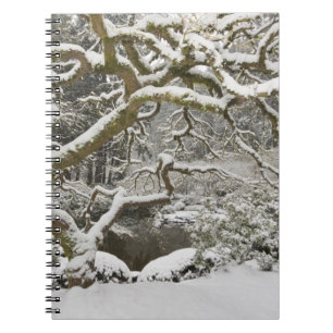 Snow-covered Japanese maple 2 Notebook