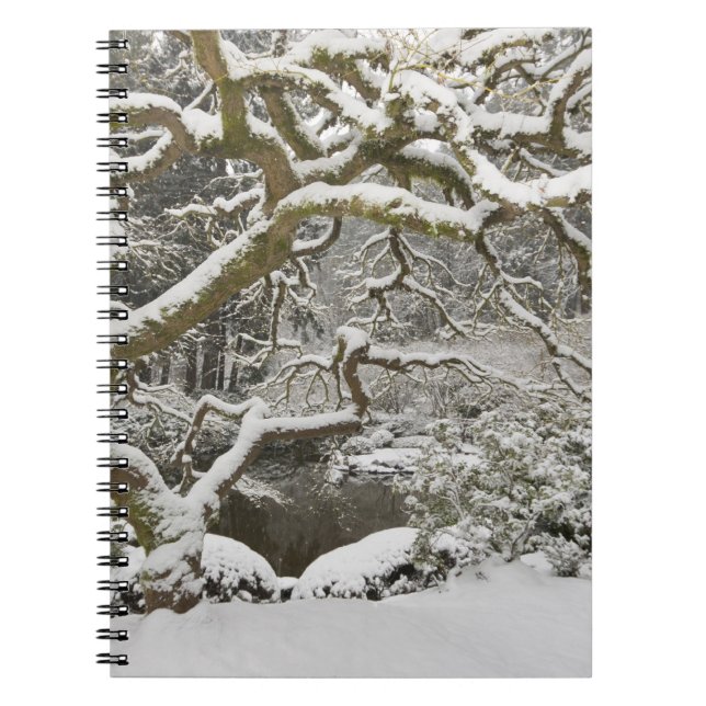 Snow-covered Japanese maple Notebook (Front)