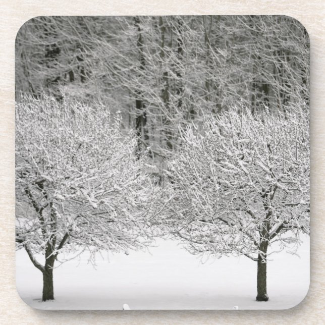 Snow covered landscape coaster (Front)