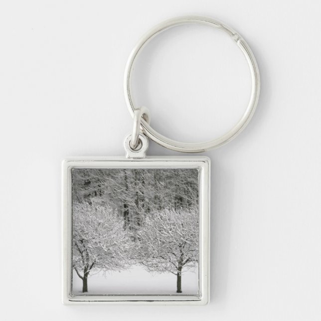 Snow covered landscape key ring (Front)