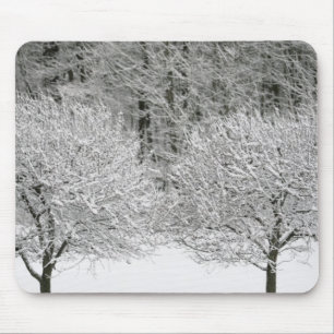 Snow covered landscape mouse mat