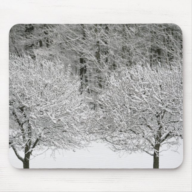 Snow covered landscape mouse mat (Front)