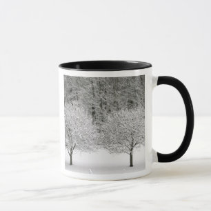 Snow covered landscape mug