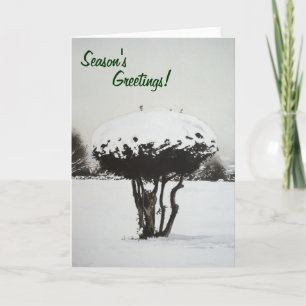 snow covered landscape senic christmas holiday card