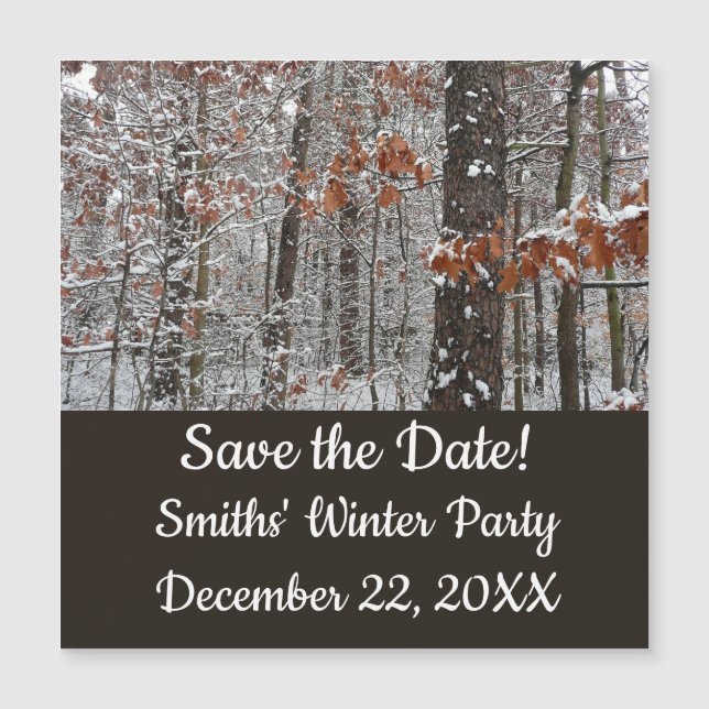 Snow Covered Oak Trees Winter Nature Photography (Front)