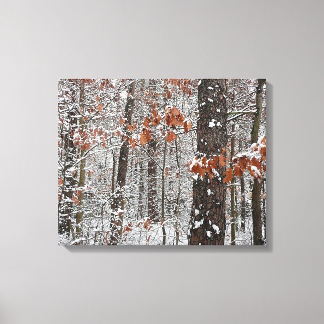 Snow Covered Oak Trees Winter Nature Photography Canvas Print (Front)
