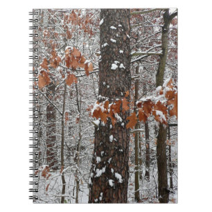 Snow Covered Oak Trees Winter Nature Photography Notebook