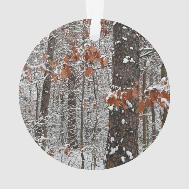 Snow Covered Oak Trees Winter Nature Photography Ornament (Back)
