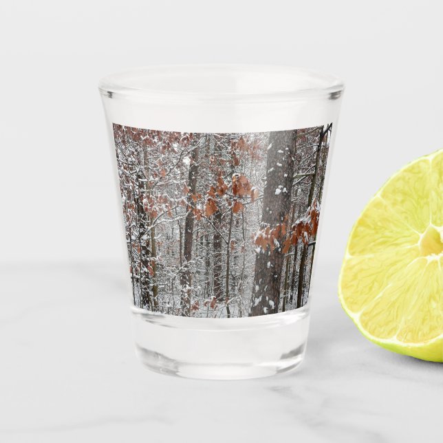 Snow Covered Oak Trees Winter Nature Photography Shot Glass (Front)
