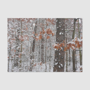 Snow Covered Oak Trees Winter Nature Photography Tissue Paper