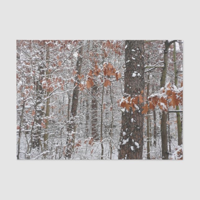 Snow Covered Oak Trees Winter Nature Photography Tissue Paper (Front)