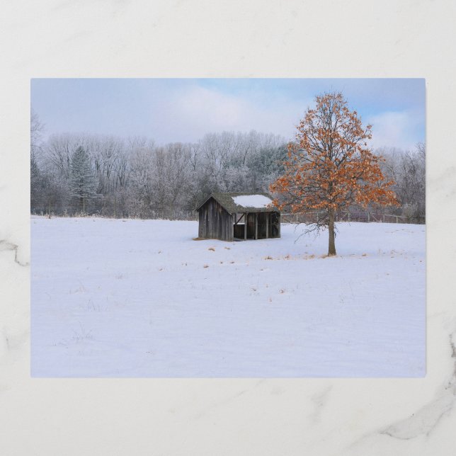 Snow Covered Paddock Foil Holiday Postcard (Front)