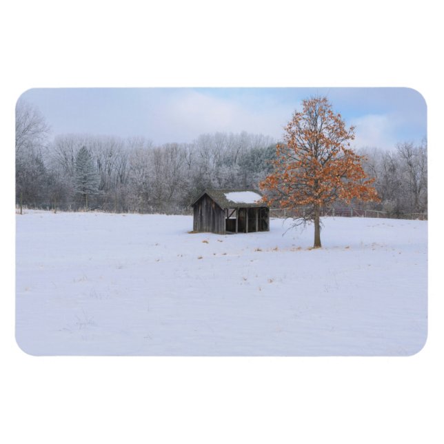 Snow Covered Paddock Magnet (Horizontal)