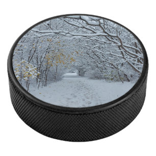 Snow covered park  hockey puck