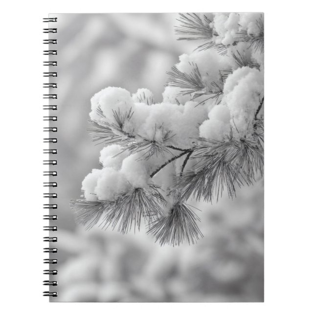 Snow Covered Pine Branch Notebook (Front)