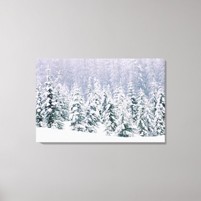 Snow covered pine trees canvas print (Front)