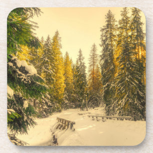 Snow Covered Pine Trees Forest Nature Photo Coaster