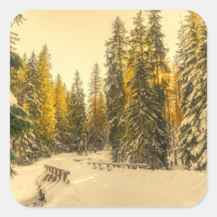 Snow Covered Pine Trees Forest Nature Photo Square Sticker