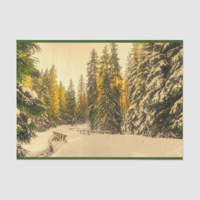 Snow Covered Pine Trees Forest Nature Photo Tissue Paper (Front)