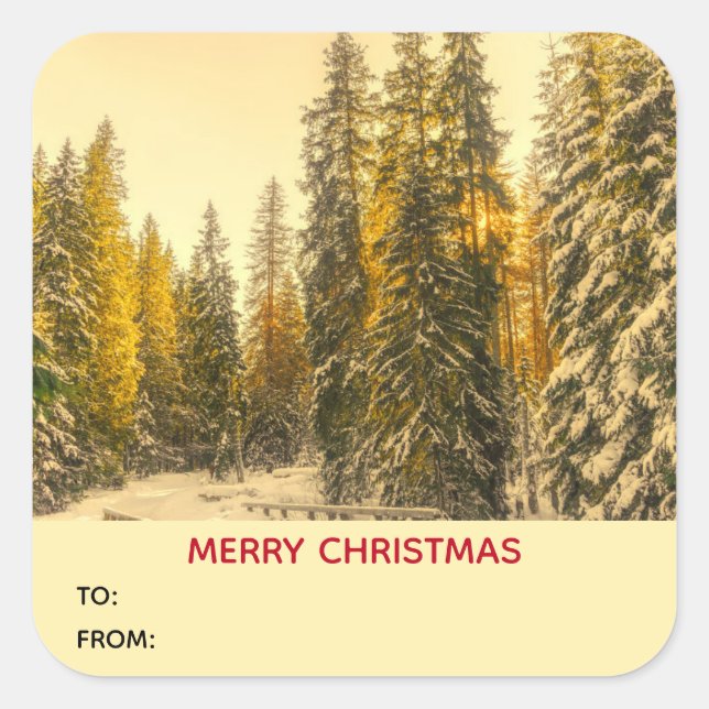 Snow Covered Pine Trees Outdoorsy Nature Photo Square Sticker (Front)