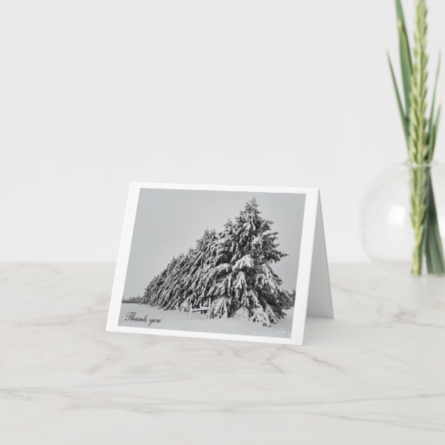 Snow covered pine trees thank you card (Front)