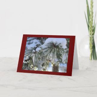 snow covered pines holiday card