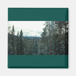 Snow-covered pines mountain scenery magnet