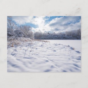 Snow Covered Pond and Woodlands at Salem Hills Holiday Postcard