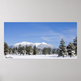 Snow Covered Prairie Pines & San Francisco Peaks Poster