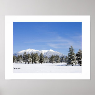 Snow Covered Prairie Pines & San Francisco Peaks Poster