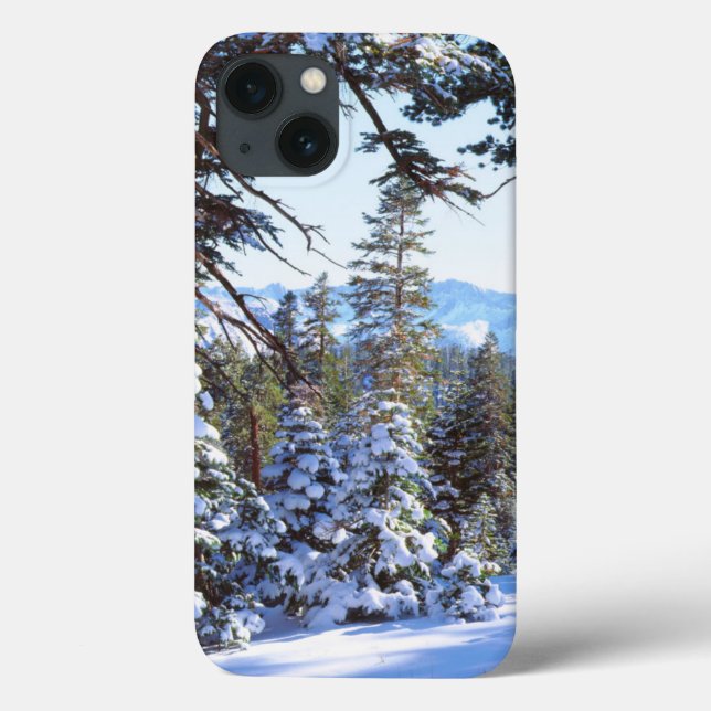 Snow-covered Red Fir trees in the High Sierra 2 Case-Mate iPhone Case (Back)