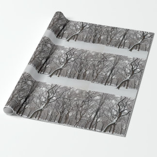 Snow Covered rees in Central Park NYC Wrapping Paper
