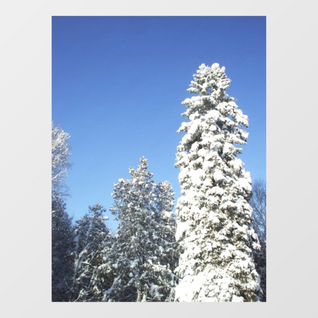 Snow Covered Tall Pine Tree Window Cling (Sheet)