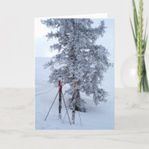 Snow-Covered Tree and Skis