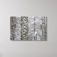 Snow covered tree trunks in Yosemite valley -