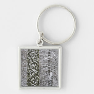 Snow covered tree trunks in Yosemite valley - Key Ring
